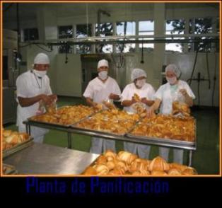 UNA MIRADA SISTEMICA DE LAS COMPETENCIAS LABORALES EN PANADERIA Y REPOSTERIA